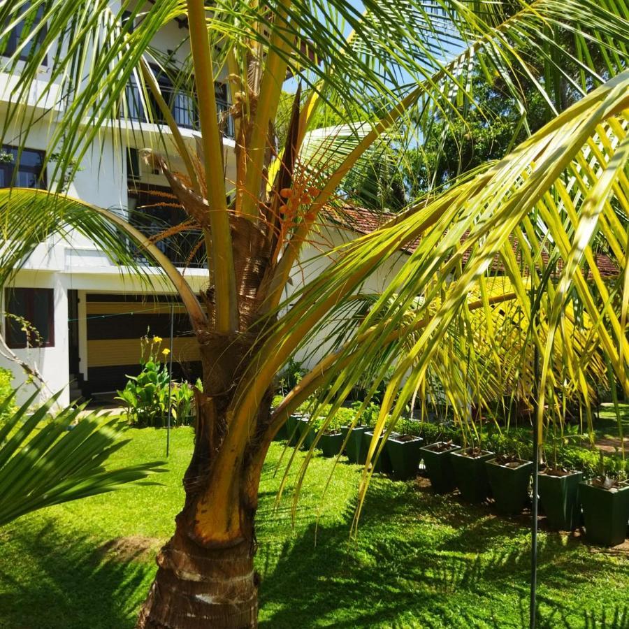 Edelweiss Residence ฮิกคาดูวา ภายนอก รูปภาพ